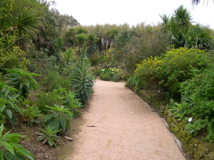  allée du jardin exotique